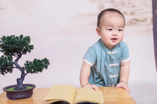 六盘水可爱的企鹅宝宝